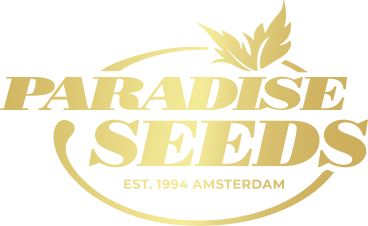 Paradise Stecklinge